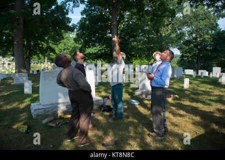 Stephen Paepke, Joshua Tree Professional Tree and Lawn Care, explains how lightning protection systems are installed in Section 30 of Arlington National Cemetery, Arlington, Va., July 14, 2017.  During the National Association of Landscape Professionals’ 21th annual Renewal and Remembrance, about 10 large oak trees in four separate sections received lightning protection systems.  (U.S. Army photo by Elizabeth Fraser / Arlington National Cemetery / released) Stock Photo