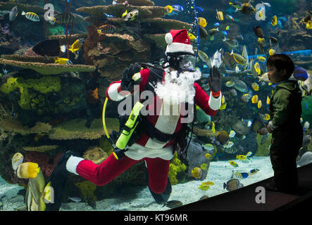 Toronto, Canada. 23rd Dec, 2017. A diver dressed as Santa Claus waves to a boy as he performs in a tank with fish during a holiday show at Ripley's Aquarium of Canada in Toronto, Canada, Dec. 23, 2017. Credit: Zou Zheng/Xinhua/Alamy Live News Stock Photo