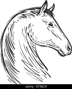 Horse sketch. Farm animal, steed vector illustration Stock Vector