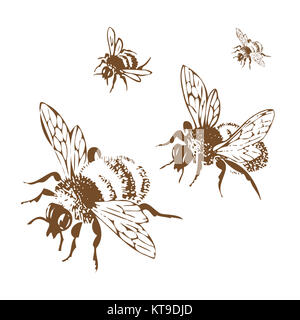Vector engraving antique illustration of honey flying bees, isol Stock Photo
