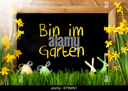 Blackboard With German Text Bin Im Garten Means I Am In The Garden. Sunny Spring Flowers Nacissus Or Daffodil With Grass, Easter Egg And Bunny. Rustic Aged Wooden Background. Stock Photo