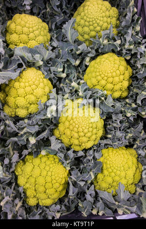 Fresh fruits and vegetables Stock Photo