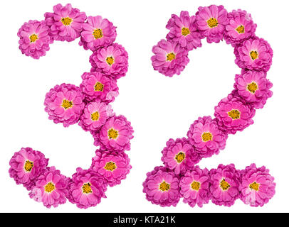 Arabic numeral 32, thirty two, from flowers of chrysanthemum, isolated on white background Stock Photo