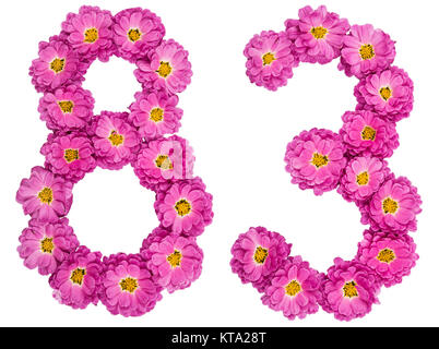Arabic numeral 83, eighty three, from flowers of chrysanthemum, isolated on white background Stock Photo