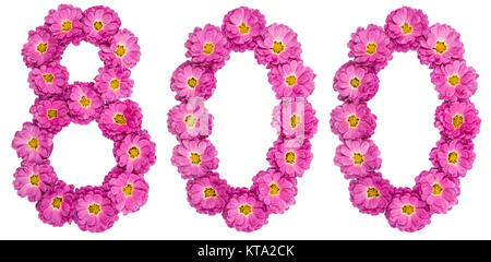 Arabic numeral 800, eight hundred, from flowers of chrysanthemum, isolated on white background Stock Photo