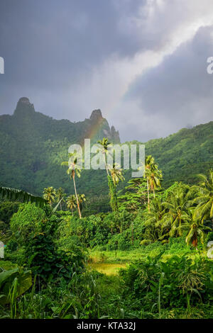 Rainbow on Moorea island jungle and mountains landscape Stock Photo