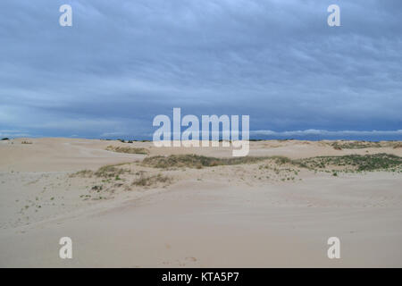 Monahans Sand Dunes of the Sandhills State Park Stock Photo