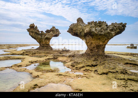 Landscape of the heart rock in okinawa Stock Photo