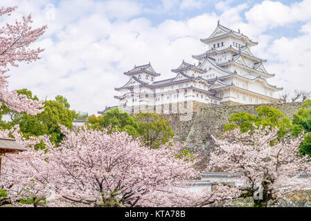 Himeji Castle with beautiful cherry blossom Stock Photo