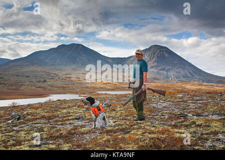 Norwegian hunter with shotgun and English Setter dog hunting grouse on the tundra in autumn, Norway Stock Photo