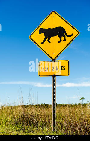 Traffic sign at the road side warns the drivers about cougar crossing next 2 miles Stock Photo