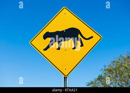 Traffic sign at the road side warns the drivers about cougar crossing next 2 miles Stock Photo