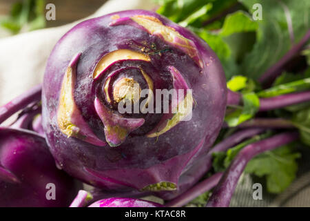 Raw Organic Purple Kohlrabi Ready to Eat Stock Photo