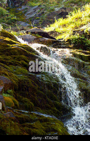 A small waterfall with splashes on a mountain stream among mossy stones Stock Photo