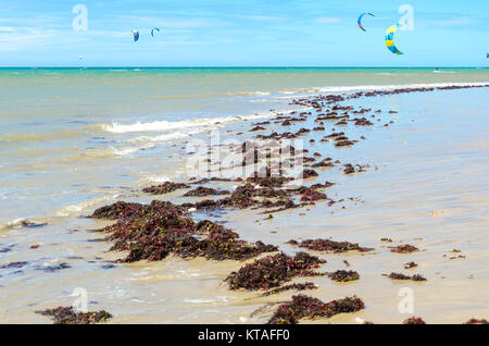 Cumbuco, Brazil, jul 9, 2017: Seaweed plant over the beach with a lot Kite surfers on the background Stock Photo
