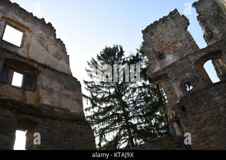 ruin,castle ruin,prandegg,schÃ¶nau im mÃ¼hlkreis,hÃ¶henburg,burgfried,burgberg,middle ages Stock Photo