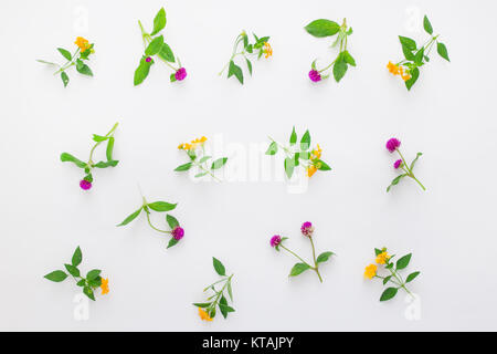 Floral pattern with pink clover and yellow wildflowers on white background. Flat lay, top view. Stock Photo