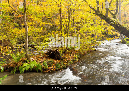 Oirase Gorge Stream in Autumn Red Stock Photo