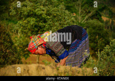 Sapa, Vietnam - May 28, 2016. A woman on rice field in Sapa, Vietnam. Sapa is a frontier township and capital of Sa Pa District in Lao Cai Province in Stock Photo