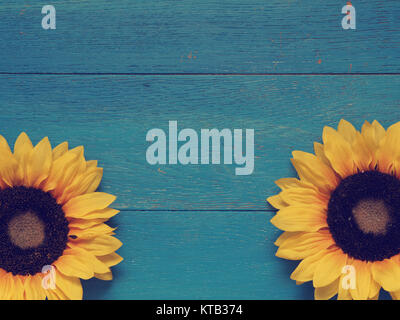 Two sunflowers on a blue vintage wooden background Stock Photo