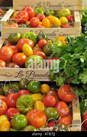 colourful and fresh varieties of different tomatoes on sale at a stall on borough market in central London. green and red tomato varieties on sale. Stock Photo