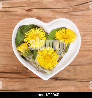 huflattich,homeopathy and cooking with medicinal herbs Stock Photo