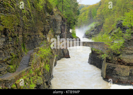 Gorge Trail crossing at Lower Falls, Genesee, River, Letchworth State Park, New York, USA Stock Photo