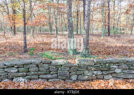 old rock wall in the woods in wainscott ny Stock Photo