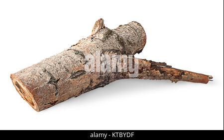 Single poplar log horizontally flipped Stock Photo