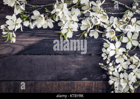 Branches blossoming almonds on a brown wooden surface Stock Photo