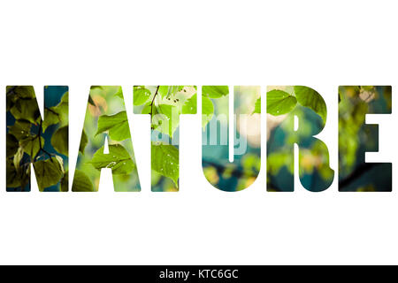 Word NATURE maple leaf on leaves background Stock Photo