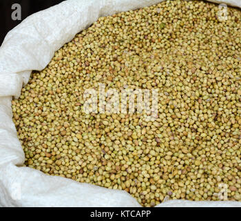 Curries for sale at local market in Old Delhi, India. Stock Photo