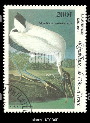 Cote d'Ivoire - stamp 1985: Air Mail issue on topic of Audubon birds bicentenary, , Shows Bird  Wood Stork Stock Photo