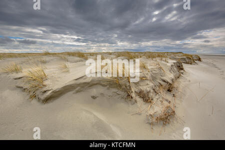Formation of Young Dune landscape on Rottumerplaat island in the Waddensea, Netherlands Stock Photo