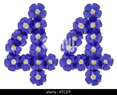 Arabic numeral 44, forty four, from blue flowers of flax, isolated on white background Stock Photo