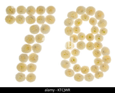 Arabic numeral 78, seventy eight, from cream flowers of chrysanthemum, isolated on white background Stock Photo