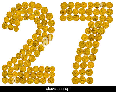 Arabic numeral 27, twenty seven, from yellow flowers of tansy, isolated on white background The tansy - a plant of the daisy family with yellow flat-t Stock Photo