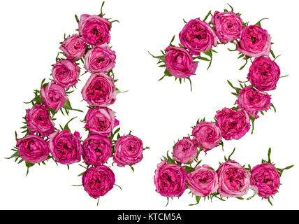 Arabic numeral 42, forty two, from red flowers of rose, isolated on white background Stock Photo