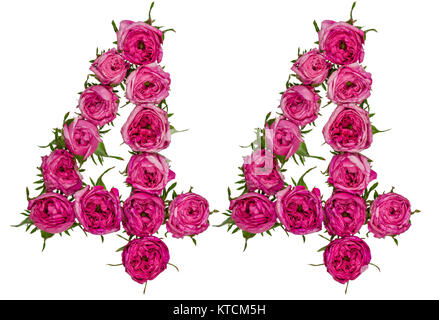 Arabic numeral 44, forty four, from red flowers of rose, isolated on white background Stock Photo