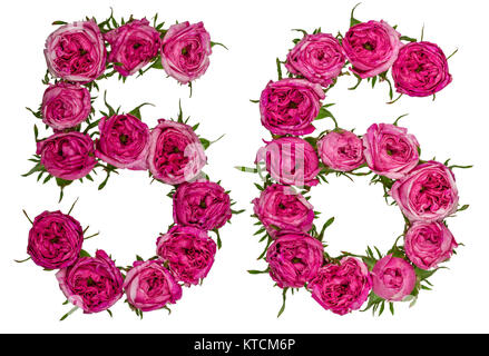 Arabic numeral 56, fifty six, from red flowers of rose, isolated on white background Stock Photo