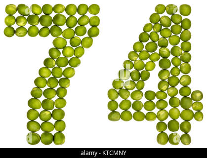 Arabic numeral 74, seventy four, from yellow flowers of rose, isolated ...