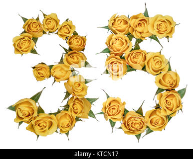 Arabic numeral 35, thirty five, from yellow flowers of rose, isolated on white background Stock Photo