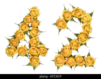 Arabic numeral 42, forty two, from yellow flowers of rose, isolated on white background Stock Photo