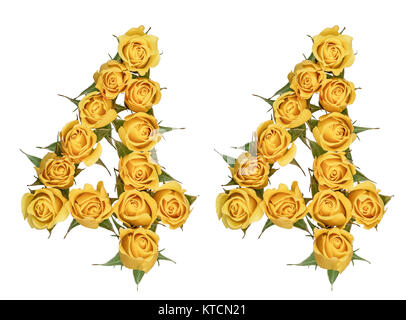 Arabic numeral 44, forty four, from yellow flowers of rose, isolated on white background Stock Photo