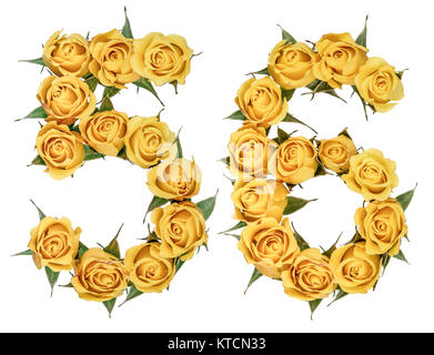 Arabic numeral 56, fifty six, from yellow flowers of rose, isolated on white background Stock Photo