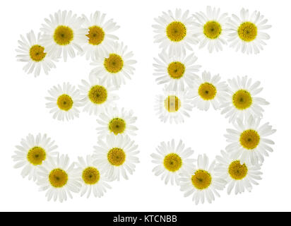 Arabic numeral 35, thirty five, from white flowers of chamomile, isolated on white background Stock Photo