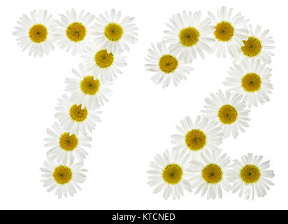 Arabic numeral 72, seventy two, from white flowers of chamomile, isolated on white background Stock Photo