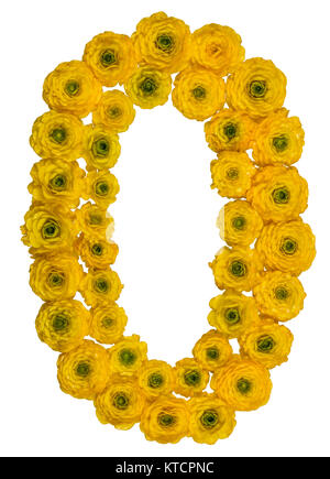 Arabic numeral 0, zero, from yellow flowers of buttercup, isolated on white background Stock Photo