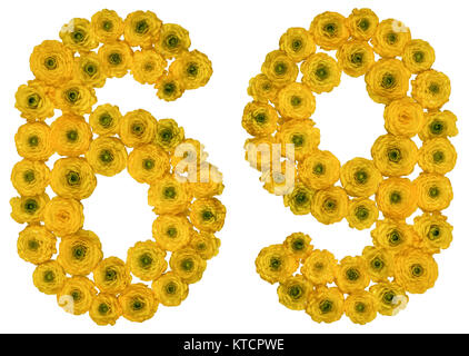 Boum 1 Mars 2023. - Page 2 Arabic-numeral-69-sixty-nine-from-yellow-flowers-of-buttercup-isolated-ktcpwe