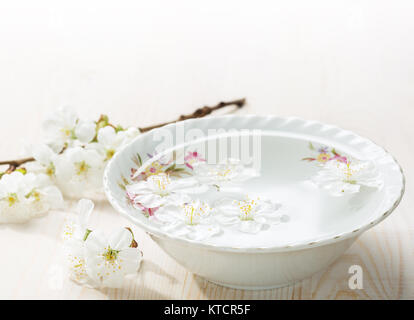 Floating flowers ( Cherry blossom) in white bowl. Stock Photo
